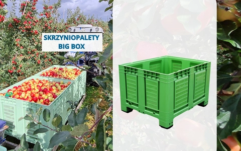 Skrzyniopaleta BIG BOX 2023